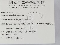 登錄號:F0027235藏品圖，第2張