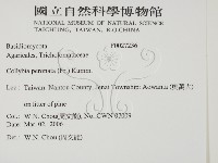 登錄號:F0027236藏品圖，第2張