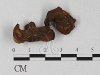 登錄號:F0027237藏品圖，第1張