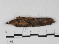 登錄號:F0027238藏品圖，第1張