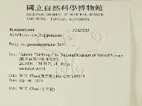 登錄號:F0027239藏品圖，第2張