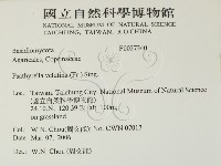 登錄號:F0027240藏品圖，第2張