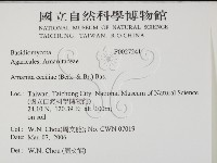 登錄號:F0027241藏品圖，第2張