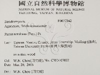 登錄號:F0027242藏品圖，第2張