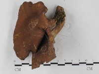 登錄號:F0027242藏品圖，第1張