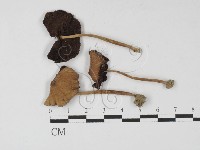 登錄號:F0027243藏品圖，第3張