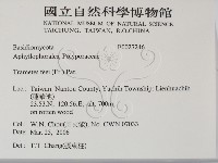登錄號:F0027246藏品圖，第2張
