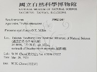 登錄號:F0027247藏品圖，第2張