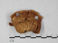 登錄號:F0027247藏品圖，第3張