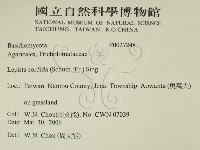 登錄號:F0027248藏品圖，第2張