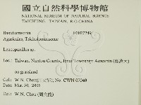 登錄號:F0027249藏品圖，第2張