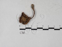 登錄號:F0027249藏品圖，第3張