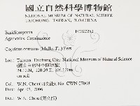 登錄號:F0027252藏品圖，第2張