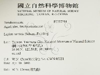 登錄號:F0027254藏品圖，第2張