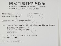 登錄號:F0027256藏品圖，第2張