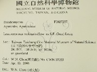 登錄號:F0027257藏品圖，第2張