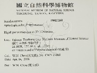 登錄號:F0027260藏品圖，第2張