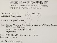 登錄號:F0027261藏品圖，第2張