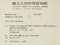 登錄號:F0027263藏品圖，第2張
