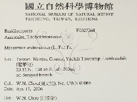 登錄號:F0027264藏品圖，第2張