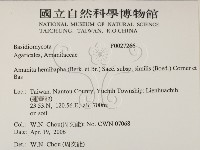 登錄號:F0027266藏品圖，第2張