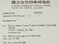 登錄號:F0027267藏品圖，第2張