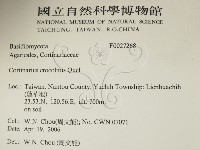 登錄號:F0027268藏品圖，第2張