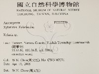 炭角菌屬藏品圖，第2張