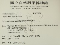 登錄號:F0027271藏品圖，第2張