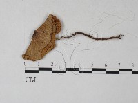 登錄號:F0027271藏品圖，第1張