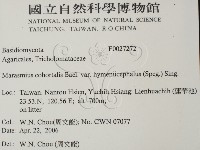 登錄號:F0027272藏品圖，第2張