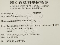 登錄號:F0027275藏品圖，第2張