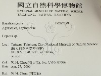 登錄號:F0027279藏品圖，第2張