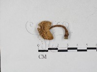 登錄號:F0027279藏品圖，第3張