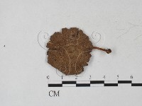 登錄號:F0027280藏品圖，第3張