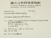 登錄號:F0027281藏品圖，第2張