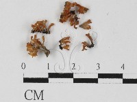 登錄號:F0027281藏品圖，第3張