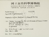 登錄號:F0027283藏品圖，第2張