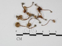 登錄號:F0027283藏品圖，第1張
