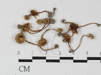 登錄號:F0027283藏品圖，第3張