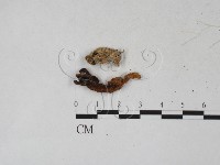 登錄號:F0027284藏品圖，第3張