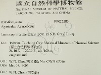 登錄號:F0027286藏品圖，第2張