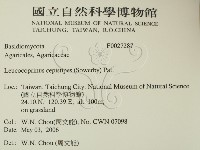 登錄號:F0027287藏品圖，第2張