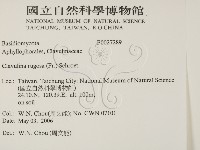 登錄號:F0027289藏品圖，第2張