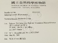 登錄號:F0027290藏品圖，第2張