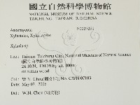 炭角菌屬藏品圖，第2張
