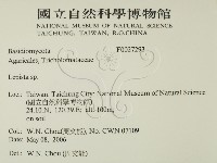 登錄號:F0027293藏品圖，第2張