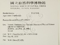登錄號:F0027294藏品圖，第2張