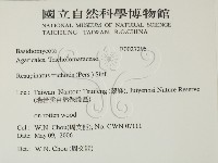 登錄號:F0027295藏品圖，第2張