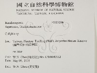 登錄號:F0027296藏品圖，第2張